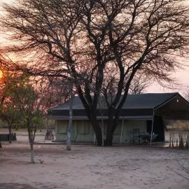 hunt camp for leopard in namibia