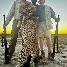 hunt dangerous game leopards in namibia