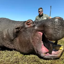 Hunt Dangerous Game Hippos in Africa