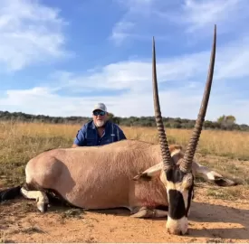 free range gemsbock hunt