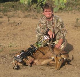 Impala with a bow