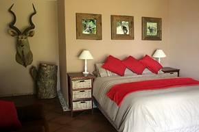 Night Critter lodge bedroom