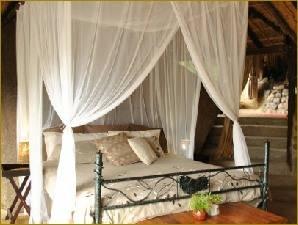 South Africa Trophy Leopard Hunting Safari 18