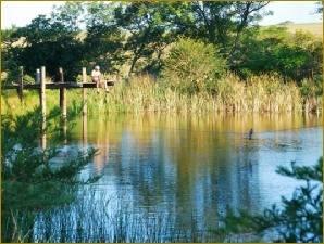 A view from Camp in South Africa