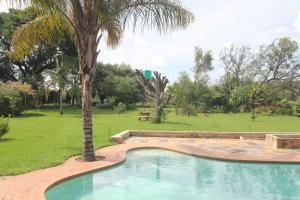 Buffalo Cow Lodge Pool