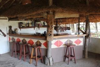 Crocodile camp bar