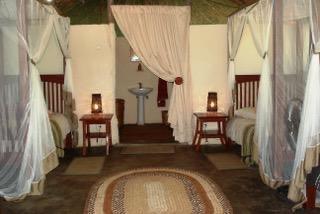 Crocodile camp client beds