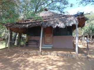 Mozambique Crocodile CampClient tent