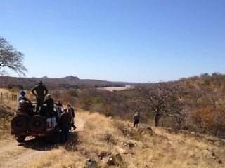 Non-trophy Elephant Hunt in Namibia