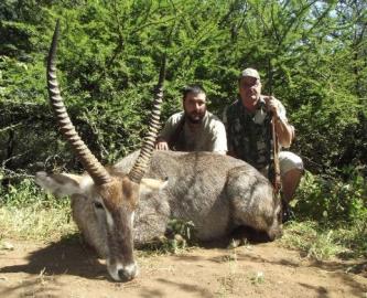 South Africa 10-Day 5 Animal Limpopo Hunting Safari Honey Badger Trophy