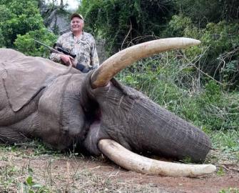 Elephant Hunt in Zimbabwe 4