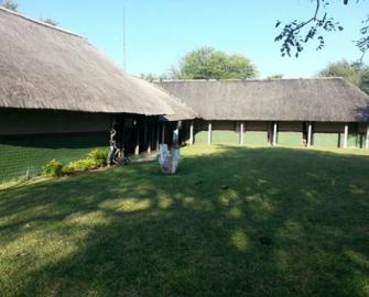 South Africa Free-Range Lion 8