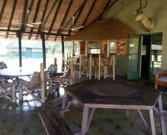 Hunt Elephant in South Africa 7