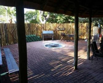 South Africa Free-Range Lion 9