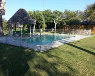 South Africa Free-Range Lion 11