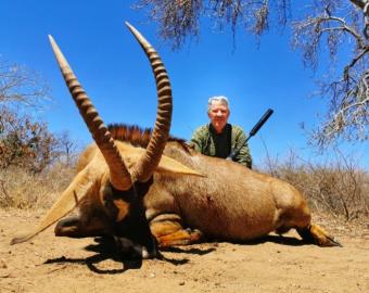 Introductory Hunting Safari Roan Trophy
