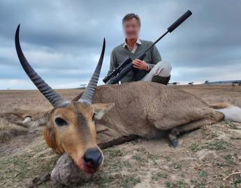 free range mountain reedbuck trophy