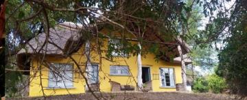 zimbabwe lioness hunting camp