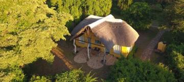 hunt lodge lioness zimbabwe