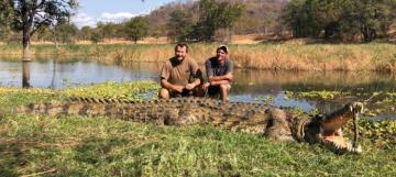 A huge Mozambique trophy crocodile