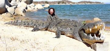 A giant Mozambique croc trophy
