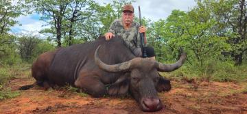 cape buffalo northern province hunt