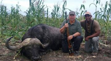 Gonarezhou Cape Buffalo Hunt