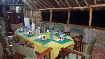 Tanzania Camp Observer