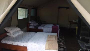 Tanzania Lion Camp Bed