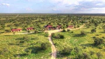 Lion Hunt in the Kalahari Desert 8