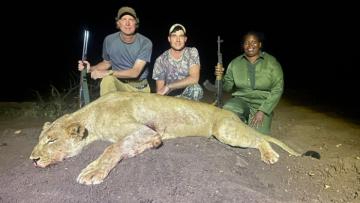 save valley conservancy lioness hunt