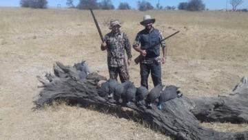 Wing Shooting Hunt in South Africa 2