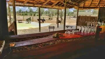 bar at leopard hunting lodge