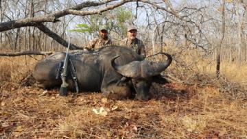 Hunt Leopard in Tanzania 9