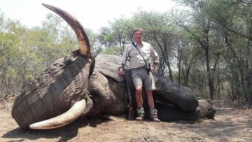 Giant Tusked Namibia Bushmanland Elephant