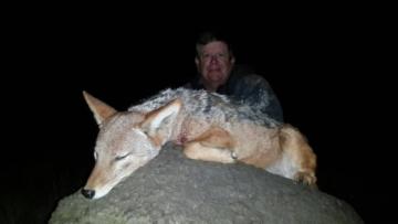 6 Day Zululand Ardwolf and Specialty Animal Night Hunt 2