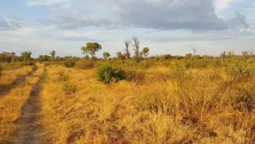 Typical Bushmanland Elephant hunting terrain