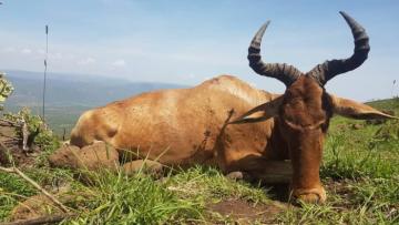 Sunset at Maasailand tented camp