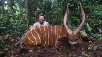 Trophy Bongo Hunt in Cameroon's Rain Forest 5