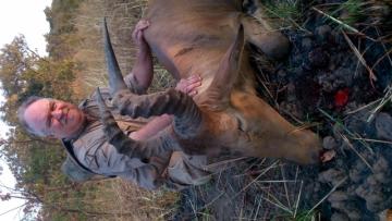 Hartebeest in Cameroon