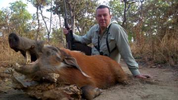 Red River Hog takenin Cameroon's Northern Savanna 13