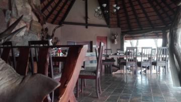 discounted Hippo and Croc Dining Area