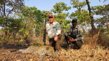 Hunt Leopard in Tanzania 3
