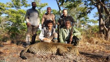 Hunt Leopard in Tanzania 2