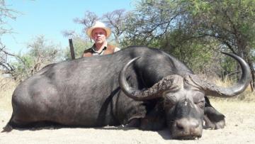 Nice Caprivi Strip Cape Buffalo