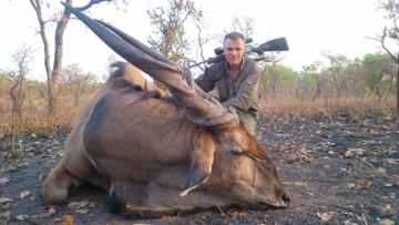 Giant Eland in Cameroon's Northern Savanna 7