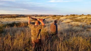 Wing Shooting Hunt in South Africa 3