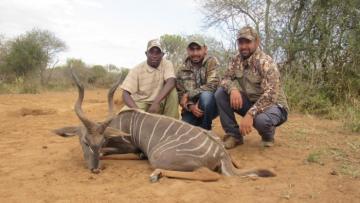 Maasailand lesser kudu
