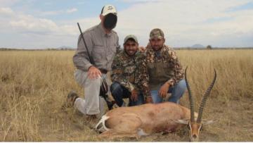 Tanzania Grant's gazelle