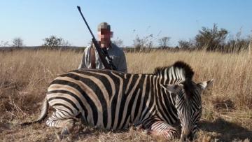 Long Range Zebra Trophy